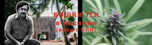 твердый Осташков