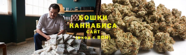 твердый Осташков