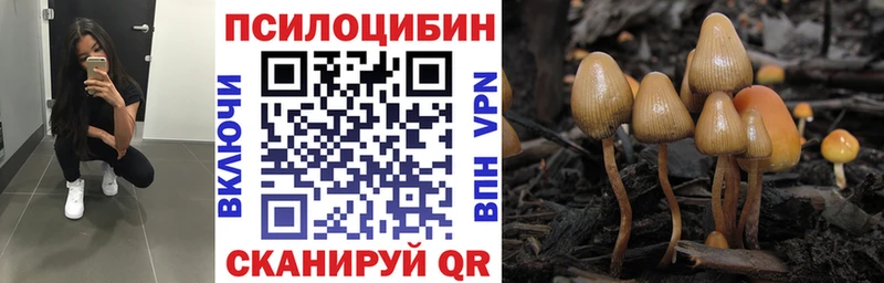 Галлюциногенные грибы мухоморы  Североморск 