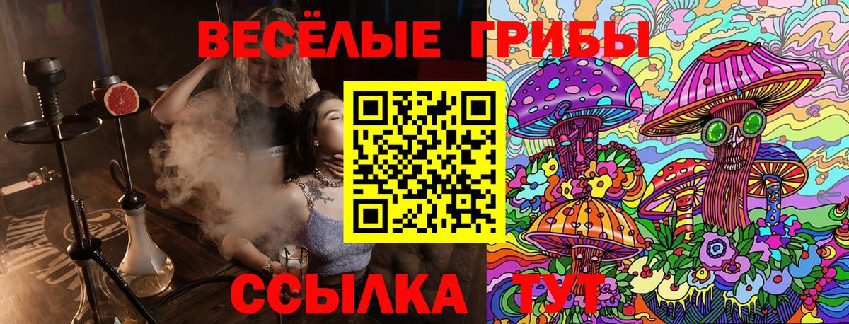 Галлюциногенные грибы Magic Shrooms  где можно купить   Североморск  Вход с VPN 